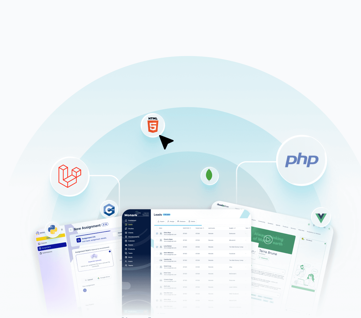 Custom Web Applications